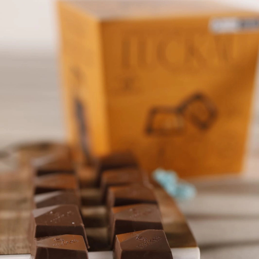 Display Bombom Chocolate 70% Cacau recheado com creme de Caramelo Salgado - Zero Adição de Açúcares, Lactose e Glúten - - imagem 4